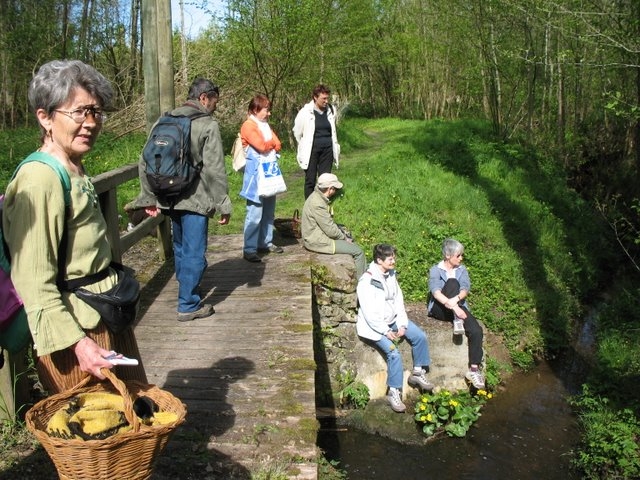 2008 04  Bota et Myco 13